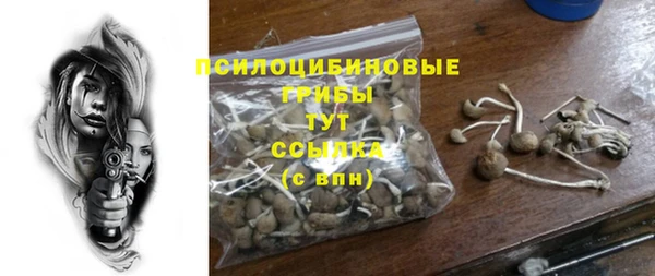 альфа пвп Беломорск