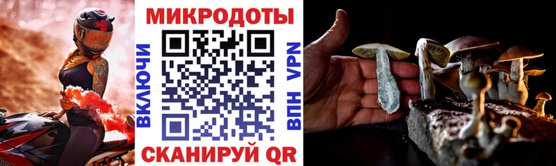 Галлюциногенные грибы мухоморы  Купить  Гремячинск 